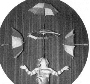 Yuri Kreis earned gold at a Sarasota circus festival.