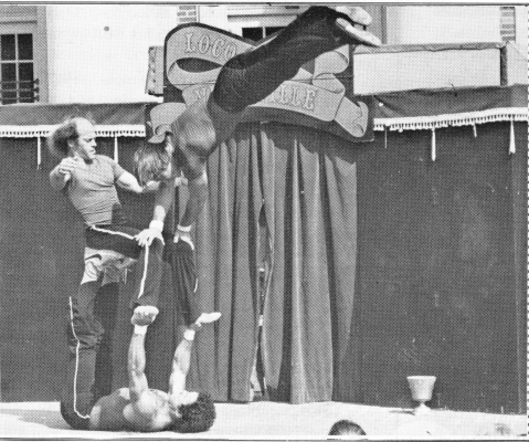 Cyrus (bottom), Bounce (seated) and Flip  (Pat Donley photo)