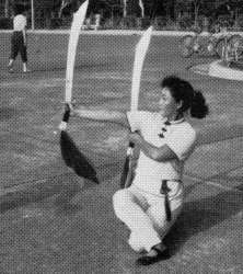 Miss Lin with double swords.