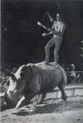 Charles Knie (Photo courtesy of Karl-Heinz Ziethen)