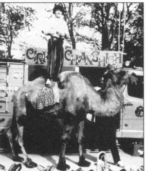 Circus Changhigh member juggles on a camel.  Where have you done it?